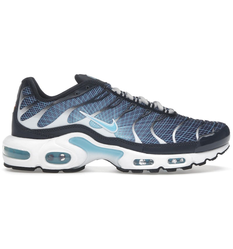 Nike Air Max Plus Dark Obsidian